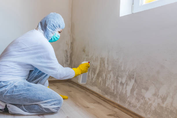 Crawl Space Mold Remediation treatment of floor joists in Medina